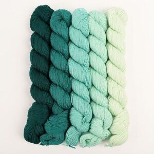 ArtYarns Milano Fade 5 Hank Pack Fine Merino Yarn Light Sport Weight Malachite